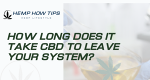how long does it take cbd to leave your system