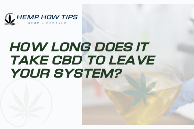 how long does it take cbd to leave your system